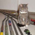 Modellbahn mit Katze